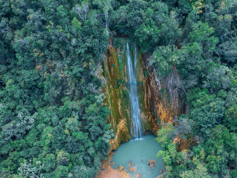 Samana Salto El Limon Waterfall Tours