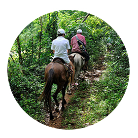 Samana Waterfall Excursions & Tours at Best Low Prices!